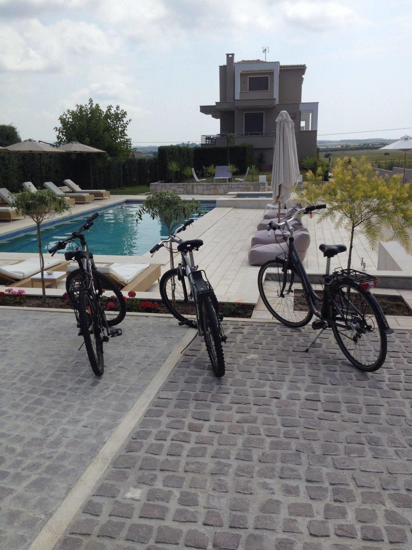 Niovi Boutique Apartments Afytos Exterior foto