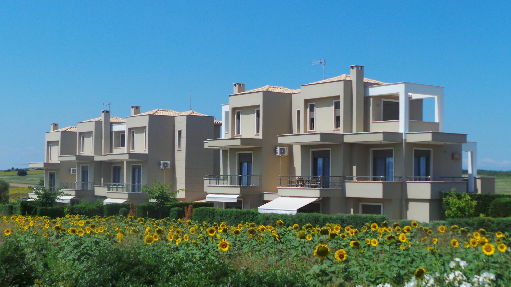 Niovi Boutique Apartments Afytos Exterior foto